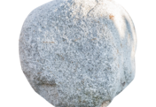 Žula Z81 solitérny kameň